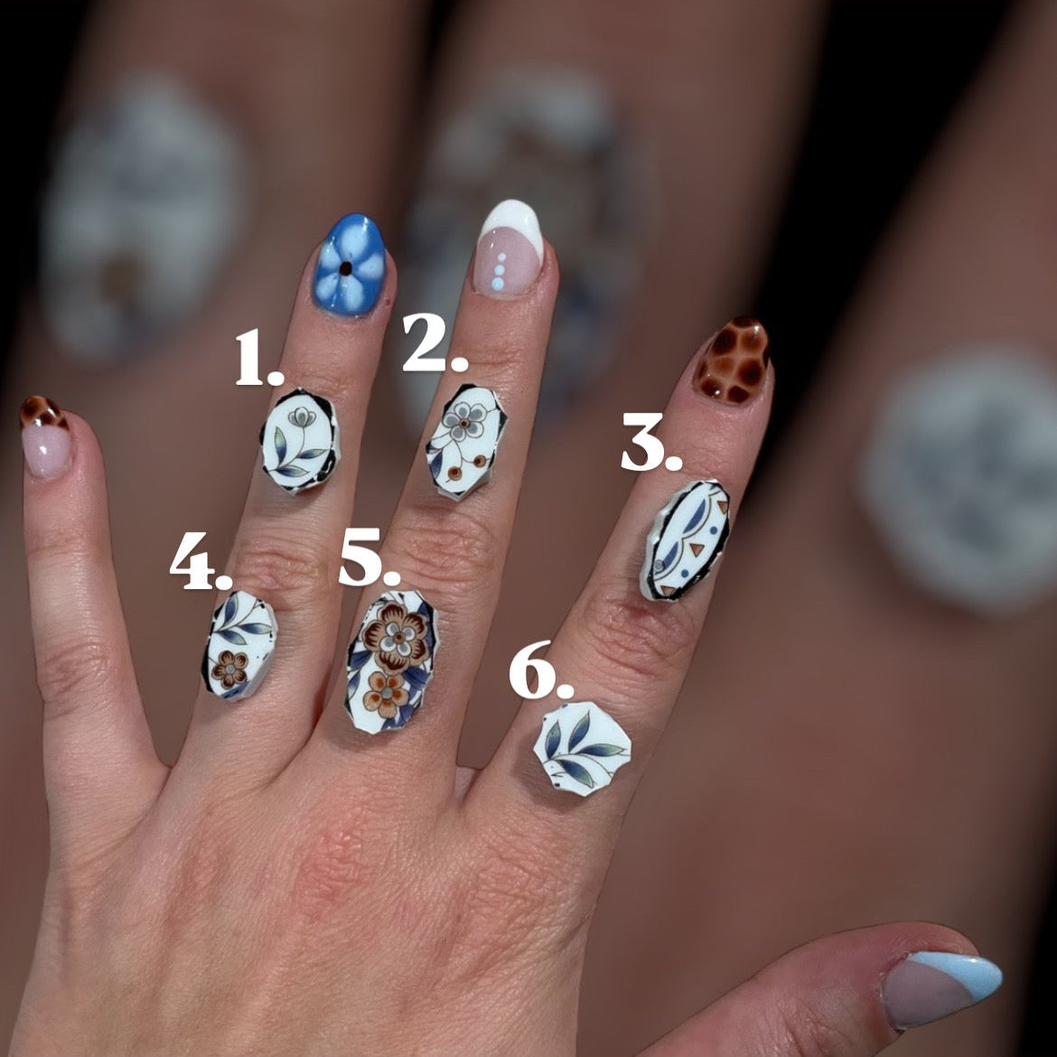 Rustic Bloom Collection